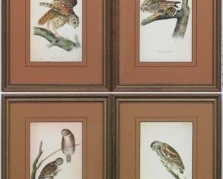 9004 - SET OF 4 OWLS BY JOHN AUDUBON 12 X 16.5
