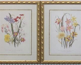 9049 - SET OF 2 MRS. WRITS BOTANICALS 19 X 23
