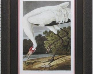 9055 - HOOPING CRANE BY JOHN AUDUBON 27 X 34
