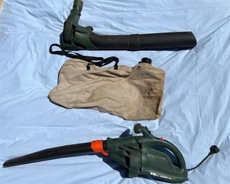 leaf blower with bag and attachment