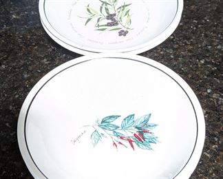 Williams-Sonoma dishes