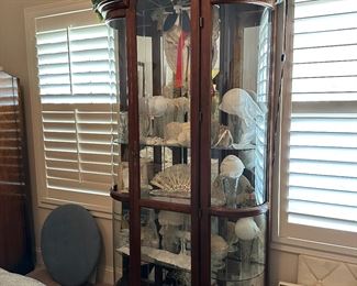 Large curved glass display case