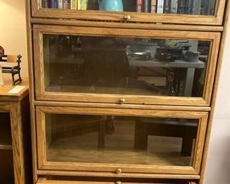 Lawyers style book case