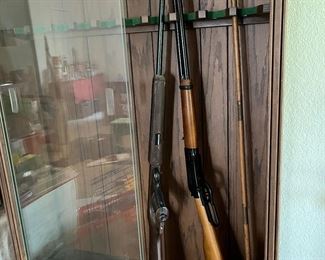 BB pellet guns and gun cabinet