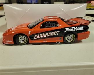 Earnhardt 