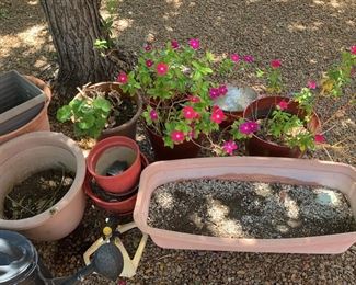 Potting and planting supplies