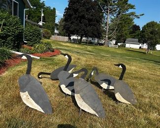 Right out of the song….                                          🎼six geese a-laying🎹