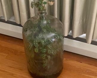 Bottled Terrarium