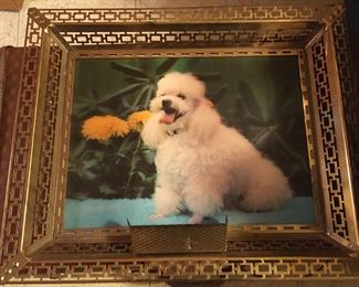 Vintage White Poodle Lenticular Picture in Easel Frame 3D Hologram