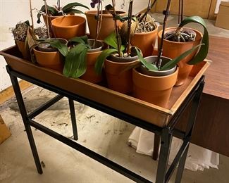 Smith & Hawkens Plant Stand