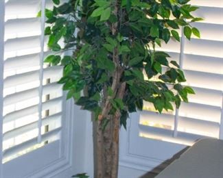 Decorative tree plant