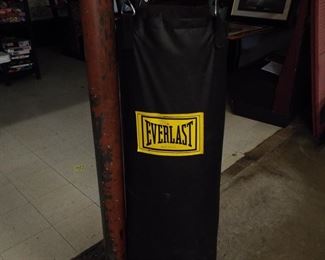 Everlast Punching Bag