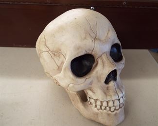 Skull