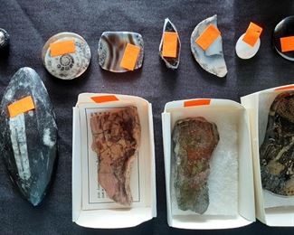 Rocks.  Some with fossils