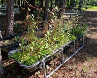 Horse trough/planters.