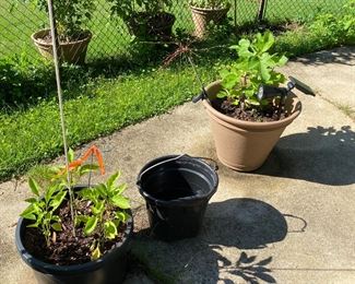 All of these will be available!