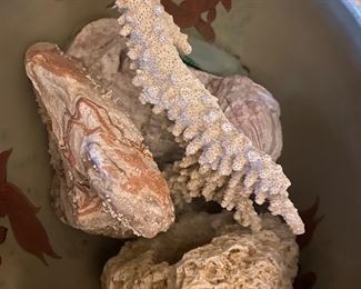 These were purchases along the seashore from a girl named Sally.