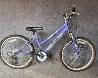 DBX Mountain Bike
