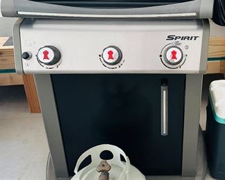 Weber Spirit grill