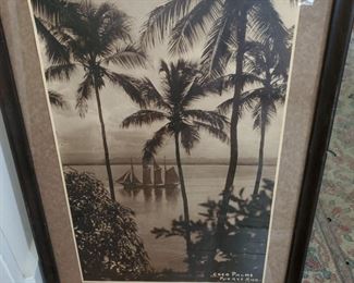Tropical sepia prints