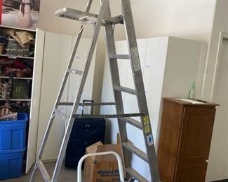 Step On Up Werner Ladder And More