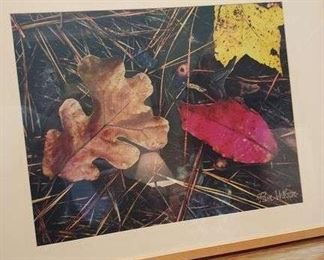 idy00ty2u0AQre8l odrdmwp