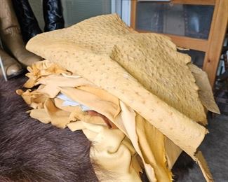 You must see these tanned animal hides.  