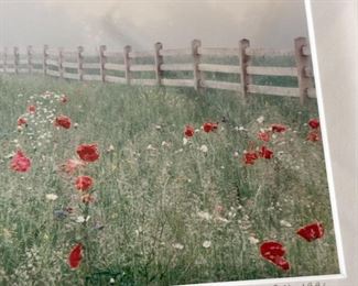 Signed Photograph, Poppies