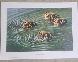 Paul James Duckling Print