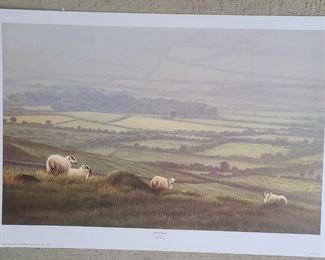 Paul James Sheep Print