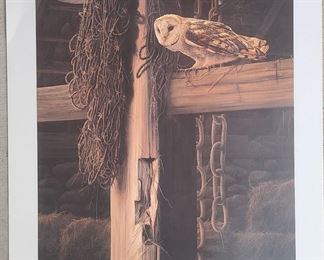 Paul James Barn Owl Print