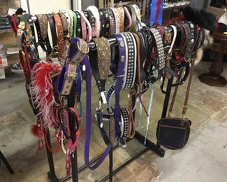 Pet Boutique items - collars and leashes