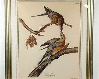 tP1e0s y5fxNiEqgZIm7maso