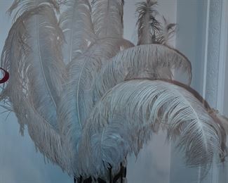 Feather Wall Display