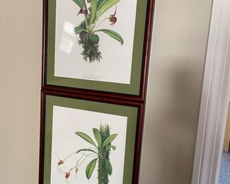 Framed prints - set of 2