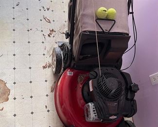 Push mower self propelled