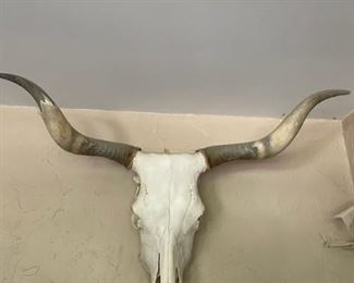 $175 ` STEER SKULL WITH LONGHORNS - 40"W X 25"H