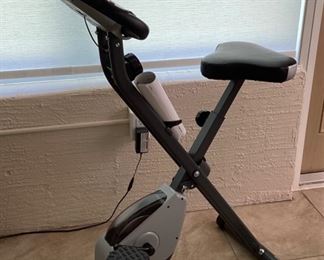 Stamina cardio exercise bike 