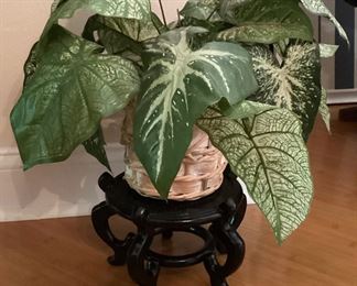 Decorative plant and plant stand 