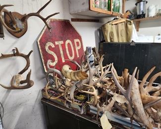 Lots of Antlers and Horns