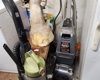 Deer Mounts - Vacumns