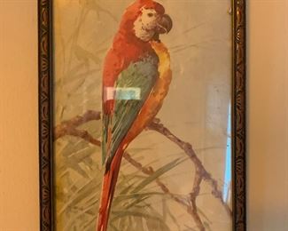 Parrot Artwork