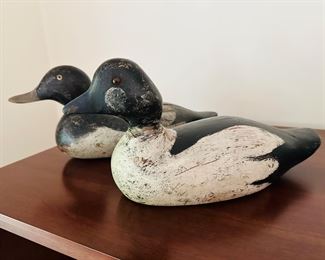Standard grade Mason decoys: Blue bill and golden eye