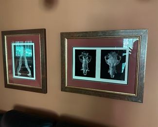Klausmeyer Skull Photos, hand signed