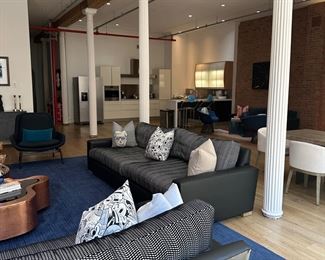 Couches are much nicer in Person! Photos don't do it Justice