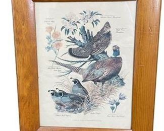 Lot 112   0 Bid(s)
Pheasants Print in Wood Frame By Arthur Singer