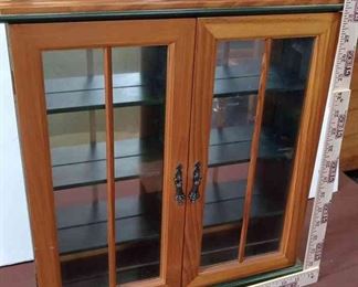 Collectibles Display Case