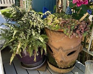 Assortment of Outdoor Planters & Potted Plants