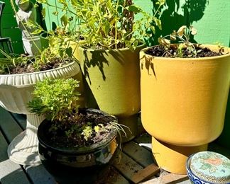 Assortment of Outdoor Planters & Potted Plants