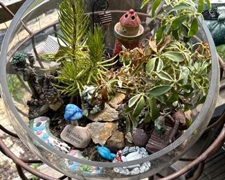 Terrarium